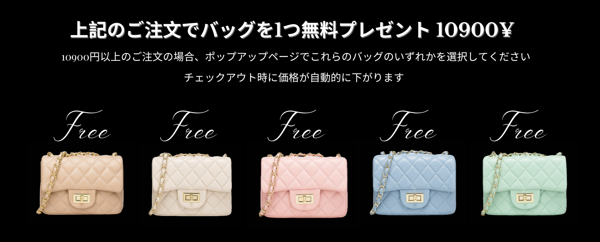 中型バッグ